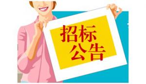 第14届中国—东盟博览会上海代表团承办单位 投标邀请函